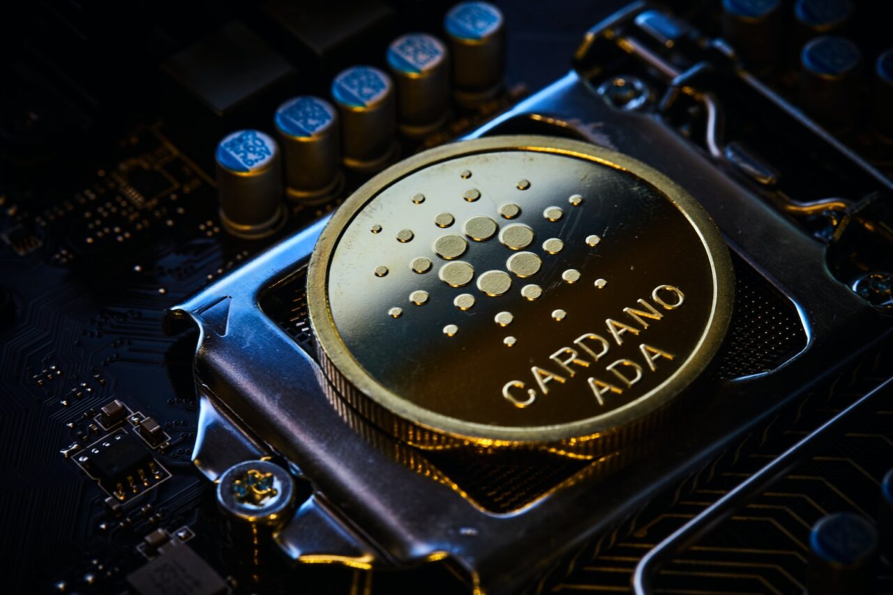 cardano coin