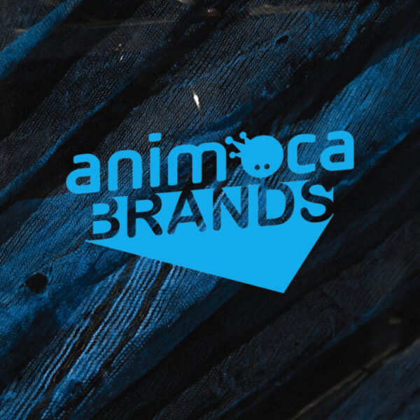Animoca Brands Hires Former Gemini as CFO